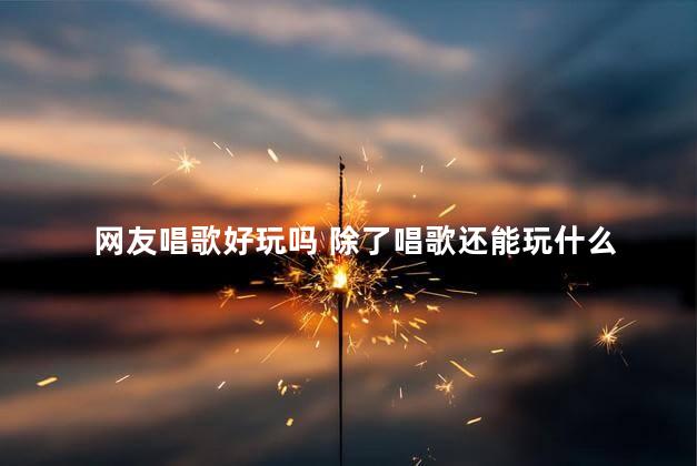 网友唱歌好玩吗 除了唱歌还能玩什么